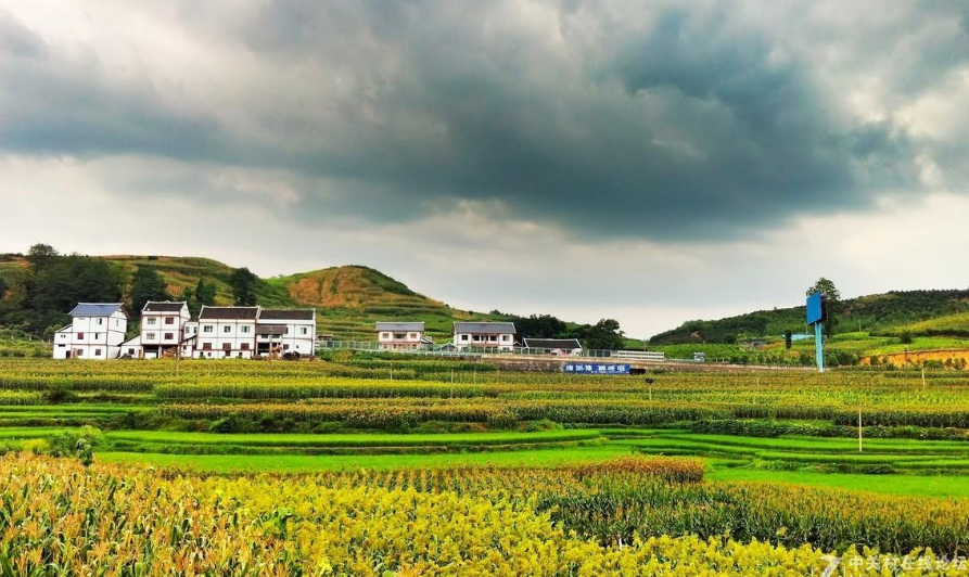 一體化生活廢水處理設備助力傳統(tǒng)農(nóng)村美麗蝶變